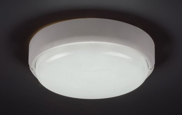 Rabalux 7406 - Lampada LED da soffitto esterna HORT LED/15W/230V IP54 bianco