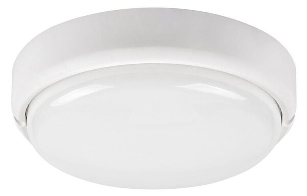 Rabalux 7406 - Lampada LED da soffitto esterna HORT LED/15W/230V IP54 bianco
