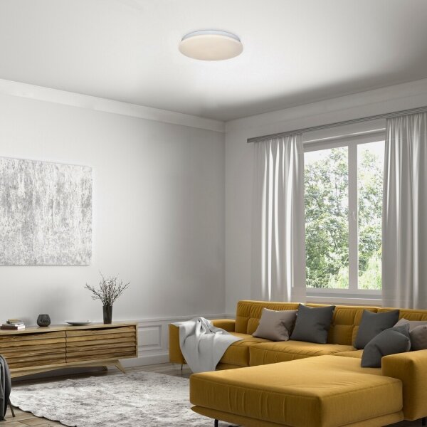 Rabalux 71101 - Plafoniera LED VENDEL LED/12W/230V 3000K 25 cm