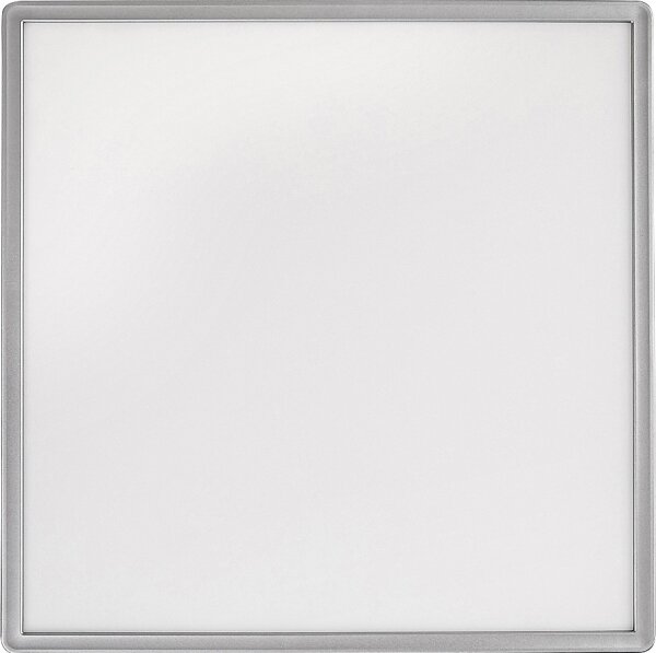 Rabalux 2291 - Plafoniera LED RGB dimmerabile RASMUS LED/22W/230V + telecomando