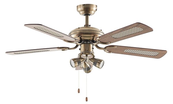Starluna Anariki ventilatore a pale ottone/rovere