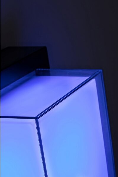 Rabalux 7247 - LED RGBW Lampada da esterno DURBE LED/10W/230V IP54 Wi-Fi Tuya