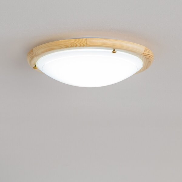 Rabalux 5411 - Plafoniera UFO 1xE27/60W/230V