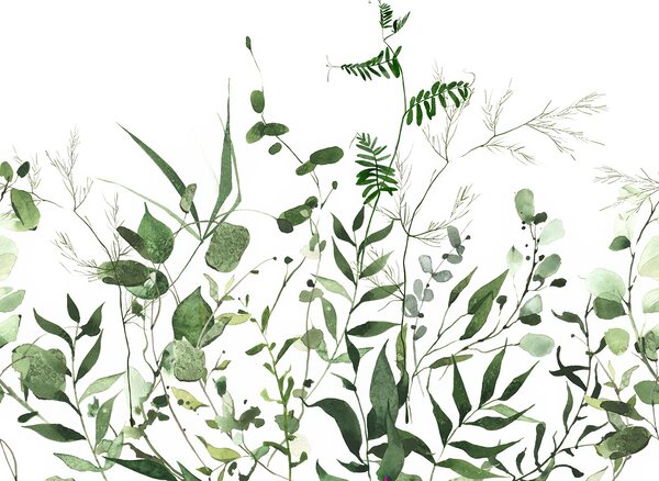 Carta da parati Verde lussureggiante su sfondo bianco, Carta da parati Foglie, Carta da parati popolare, u72395 - Tapeko.it