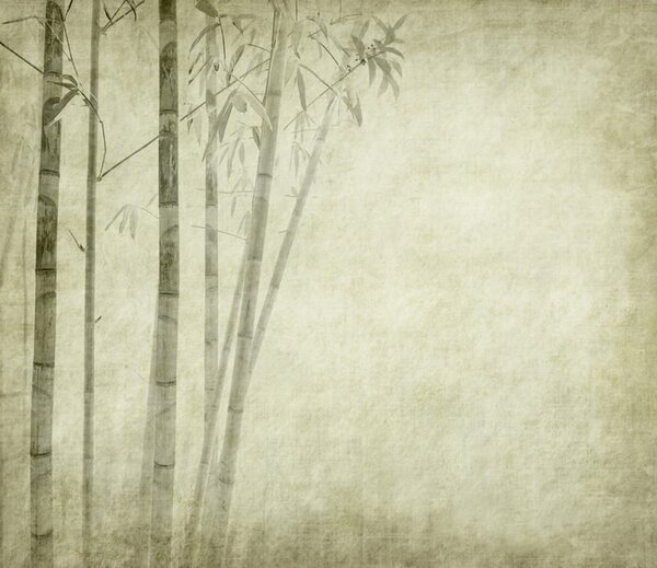 Carta da parati Gruppo di alberi di bambù, Carta da parati Foresta, Carta da parati popolare, u72564 - Tapeko.it