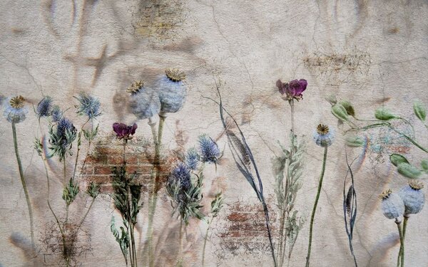 Carta da parati Muro con fiori e muro di mattoni, Carta da parati Texture, Carta da parati popolare, u72771 - Tapeko.it