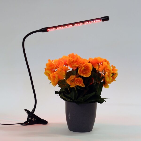 Lampada LED dimmerabile con clip per l'illuminazione delle piante LED/3W/230V nero