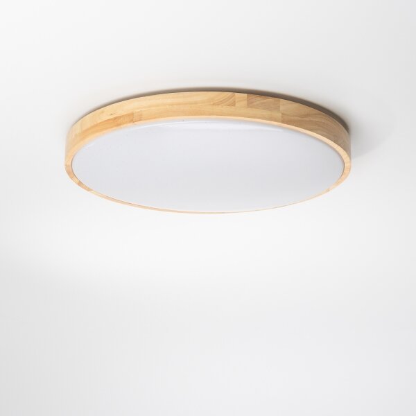 Brilagi - Plafoniera dimmerabile a LED PINE LED/24W/230V + telecomando