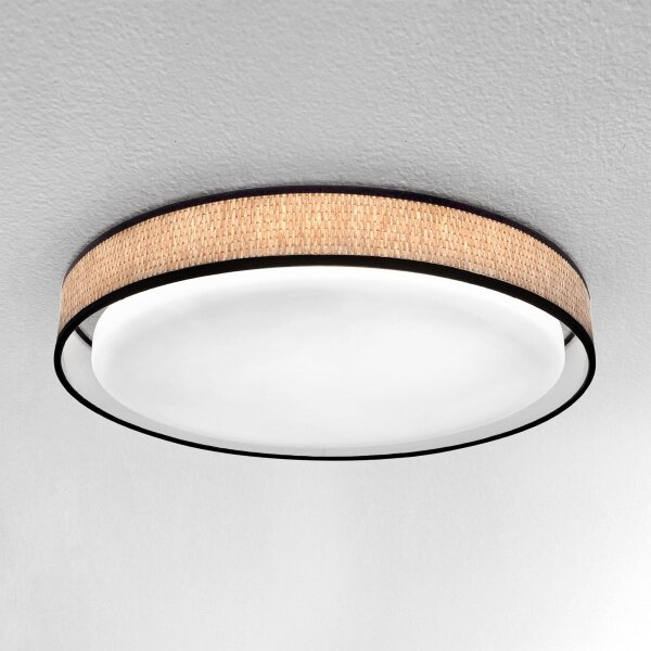 Brilagi - Lampada da soffitto dimmerabile PILAR LED/48W/230V 3000-6500K + DO