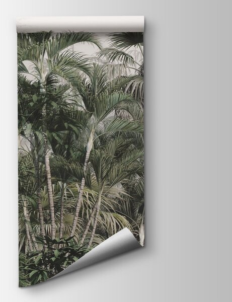 Carta da parati Gruppo di palme, Carta da parati 3d, Carta da parati popolare, u73796 - Tapeko.it