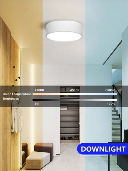 Immax NEO 07204L - Luce LED dimmerabile RONDATE LED/18W/230V bianco Tuya + +TC