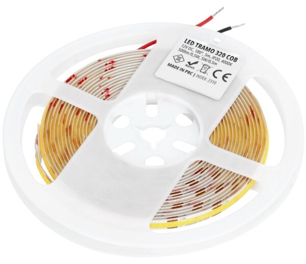 Striscia LED LED/50W/12V 5 m 4000K