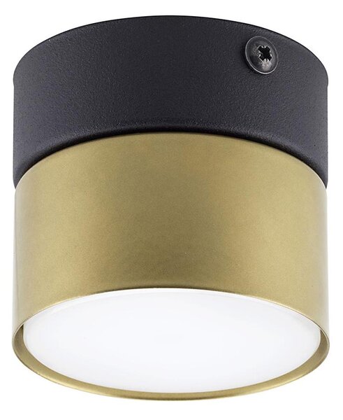 Faretto SPACE GOLD 1xGX53/15W/230V