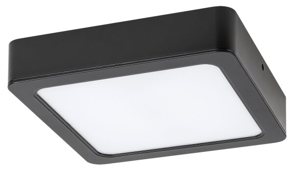 Rabalux 71201 - Plafoniera LED SHAUN LED/7W/230V 12x12 cm nero