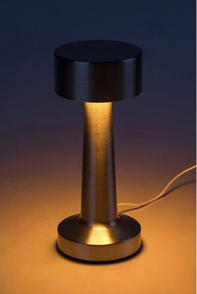 Rabalux 74208-LED Lampada da tavolo ricaricabile SENAN LED/2,7W/5V 1200mAh cromo