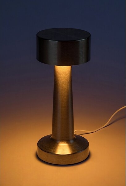 Rabalux 74207-LED Lampada da tavolo ricaricabile SENAN LED 2,7W/5V 1200mAh oro