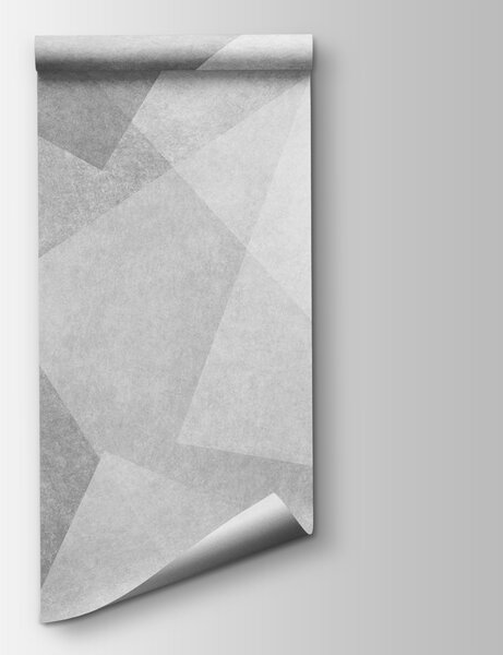 Carta da parati Sfondo grigio e bianco, Carta da parati 3d figure, Carta da parati popolare, u74057 - Tapeko.it