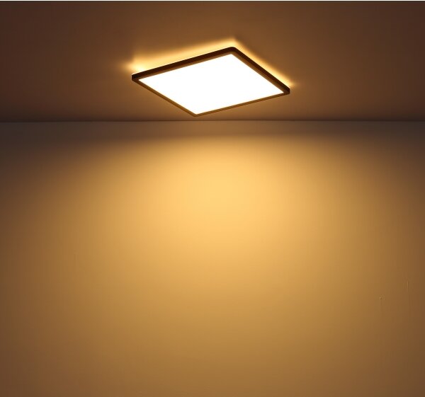 Globo 41563-18B - Plafoniera LED da bagno SAPANA LED/18W/230V IP44