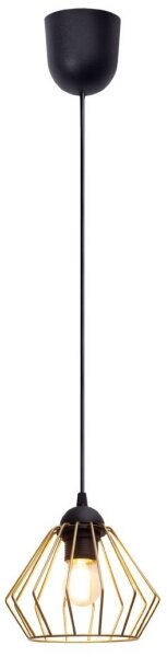 Lampadario a sospensione con filo CEED GOLD 1xE27/60W/230V diametro 17,5 cm nero/oro