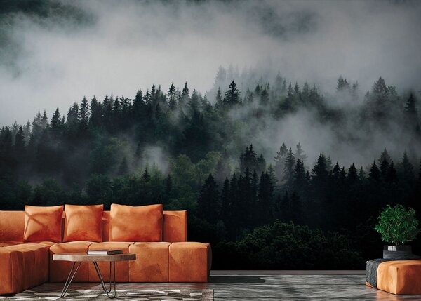 Carta da parati La foresta al mattino nebbia, Carta da parati Foresta, Carta da parati Foresta Nebbiosa, u74233 : Uwalls.it