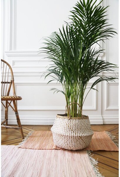 Cesto portaoggetti in seagrass chiaro , ⌀ 35 cm Zic Zac - Compactor