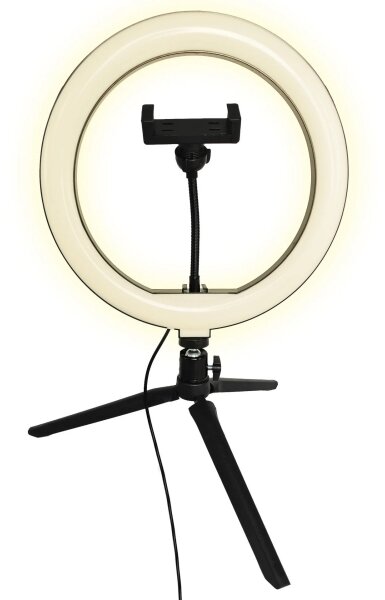Lampada LED dimmerabile con stativo e supporto per vlog LED/10W/5V 2700-6500K
