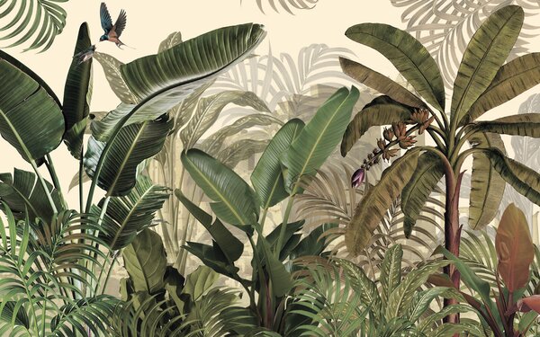 Carta da parati Gruppo di piante tropicali, Carta da parati Giungla, Carta da parati popolare, u74748 - Tapeko.it