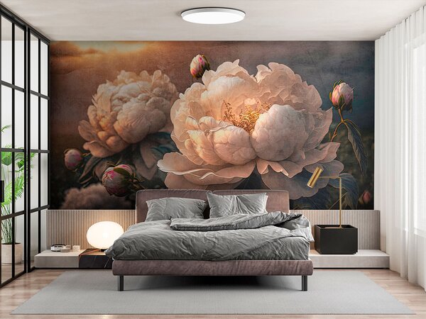 Carta da parati Belle peonie bianche sotto i raggi del tramonto, Carta da parati Floreale, u74774 : Uwalls.it