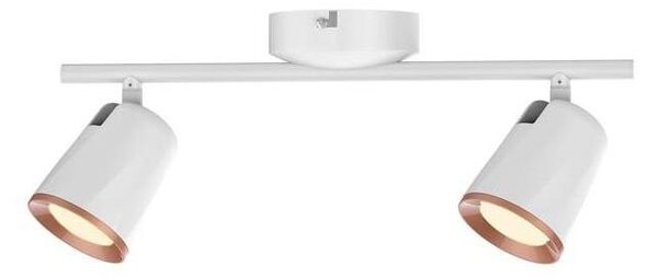 Rabalux 5046 - Luce Spot a LED SOLANGE 2xLED/6W/230V