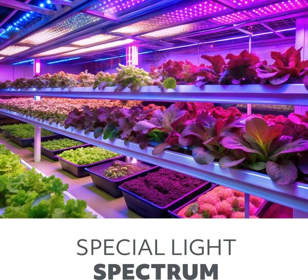 Brilagi-LED Lampada dimmerabile con clip per la coltivazione di piante VITABLOOM 3xLED/10W/230V