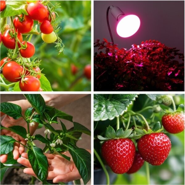 Lampada da tavolo flessibile con clip PLANTY 1xE27/30W/230V bianca