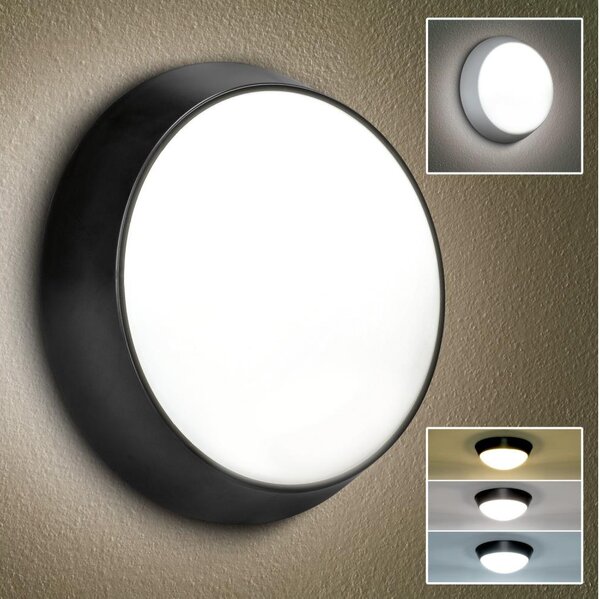 Brilagi-Applique a LED da esterno BULKHEAD LED/20W/230V 3000/4000/6000 IP65