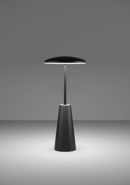Eglo 900925 - Lampada LED dimmerabile da esterno PICCOLA 2,8W/5V 5200mAh IP54 nero