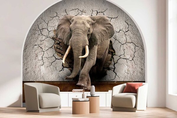 Carta da parati Un elefante che attraversa un muro, Carta da parati animali, Carta da parati popolare, u77854 - Tapeko.it
