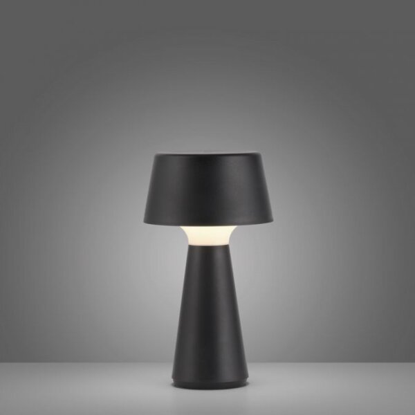 JUST LIGHT. 19260-18 - Lampada LED dimmerabile da esterno ABERA LED/3W/3,7V IP54
