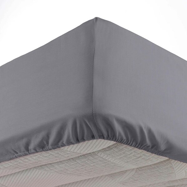 Lenzuolo elasticizzato in microfibra antracite 90x190 cm Oscar - douceur d'intérieur
