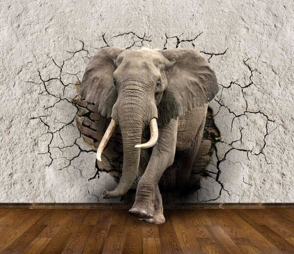 Carta da parati Un elefante che attraversa un muro, Carta da parati animali, Carta da parati popolare, u77854 - Tapeko.it