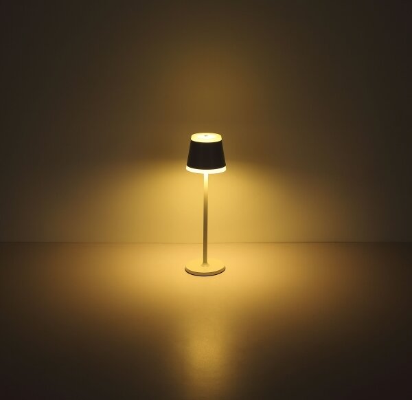 Globo 58433W - Lampada da tavolo LED dimmerabile con funzione Touch RIDLEY LED/4,6W/230V IP54