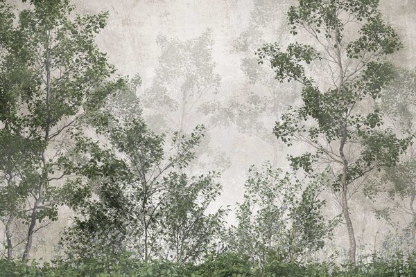 Carta da parati Gruppo di alberi con foglie verdi, Carta da parati Foresta, Carta da parati popolare, u78594 - Tapeko.it