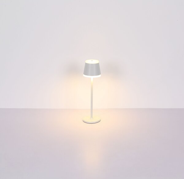 Globo 58433W - Lampada da tavolo LED dimmerabile con funzione Touch RIDLEY LED/4,6W/230V IP54