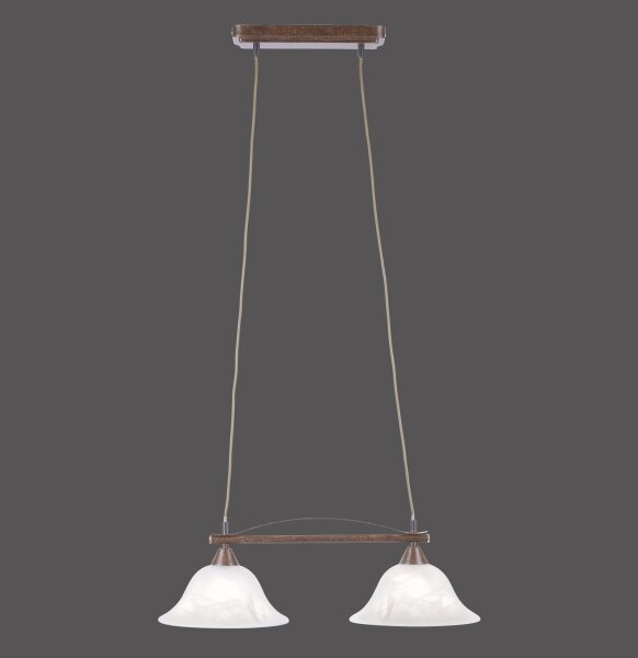 Paul Neuhaus 15242-48 - Lampadario su filo NELLY 2xE14/40W/230V