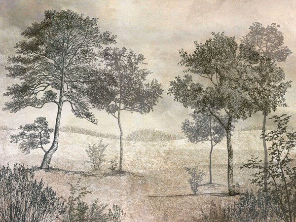 Carta da parati Disegno di alberi in un campo, Carta da parati Alberi, Carta da parati popolare, u80030 - Tapeko.it