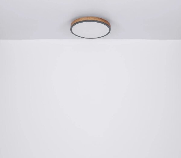 Globo 416080WD4R-CCT - Plafoniera LED dimmerabile DORO LED/40W/230V 2700-6500K + +TC