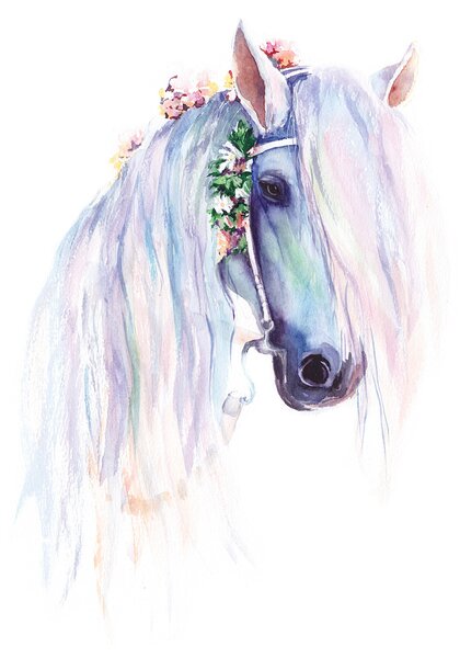 Carta da parati Acquarello di un cavallo con fiori sulla testa, Carta da parati per Bambini, Carta da parati popolare, u93591 - Tapeko.it