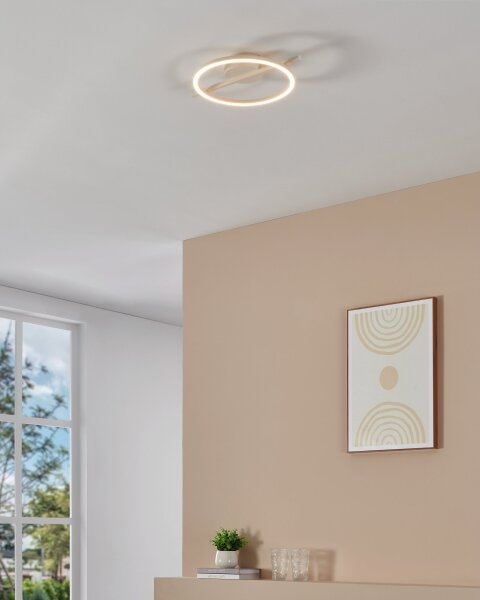Eglo 901114 - Plafoniera LED dimmerabile AMANDOLO LED/17W/230V bianco + +TC