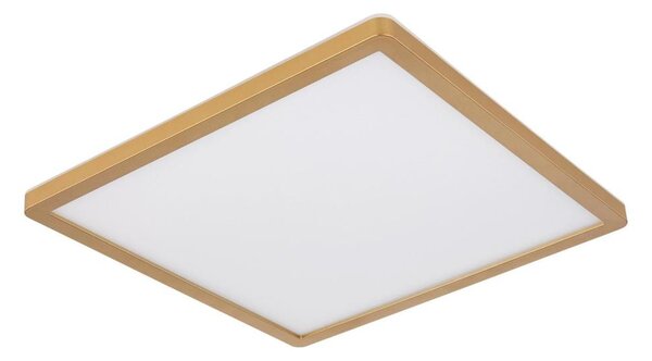 Globo 41563-18MM-Plafoniera LED dimmerabile da bagno SAPANA LED/18W/230V IP44