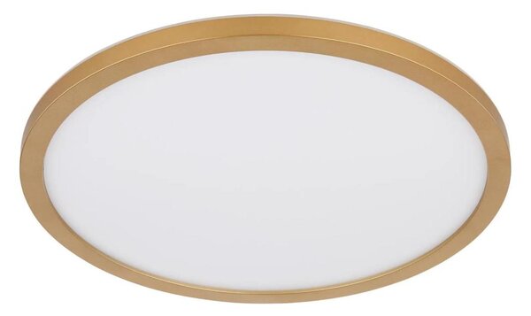 Globo 41562-18MM - Plafoniera LED dimmerabile SAPANA LED/18W/230V IP44