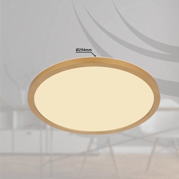 Globo 41562-18MM - Plafoniera LED dimmerabile SAPANA LED/18W/230V IP44