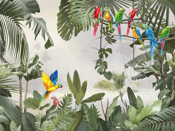 Carta da parati Gruppo di uccelli colorati su un ramo d'albero, Carta da parati animali, Carta da parati popolare, u94072 - Tapeko.it