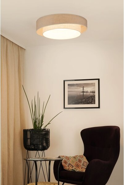 Brilagi - Plafoniera LED DOVER SHINE LED/26W/230V diametro 60 cm grigio/color crema